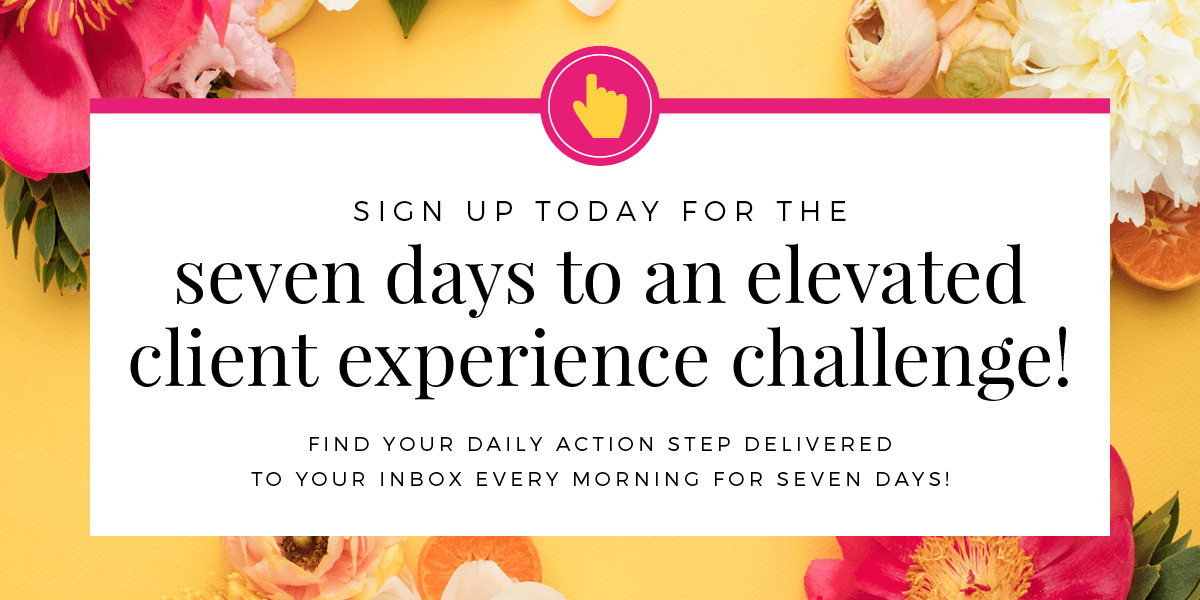 7 Days to an Elevated Client Experience Challenge - Time to focus on how to book photography clients.