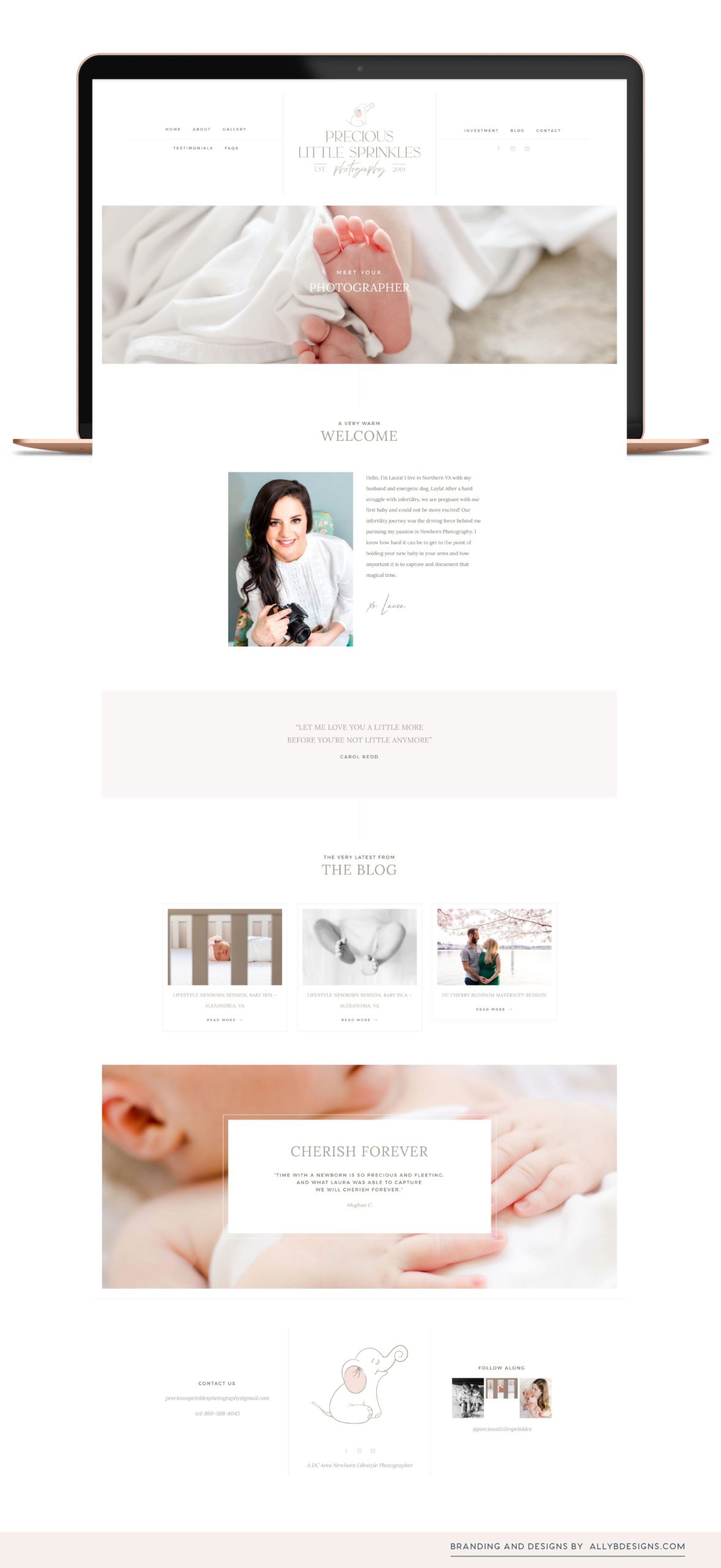 Precious Little Sprinkles Photography  |  Custom Newborn Photography Branding Project  |  Classic and soft Newborn ProPhoto Website Template Customization